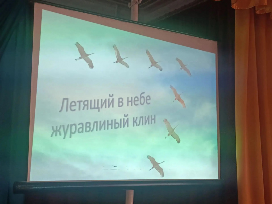 День белых журавлей
