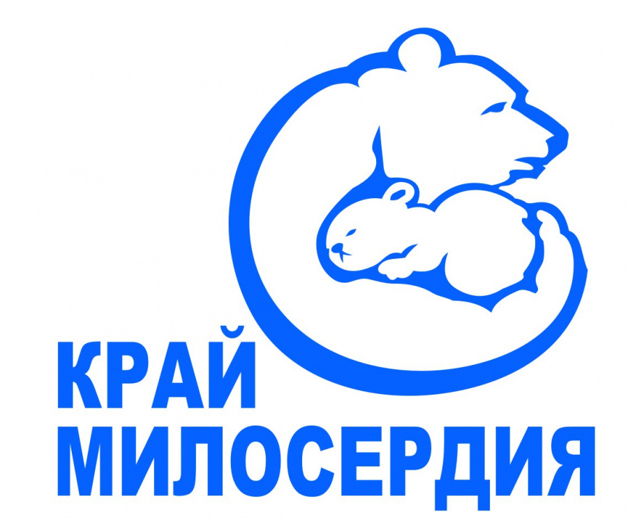 Реабилитация участников СВО Реабилитация участников СВО