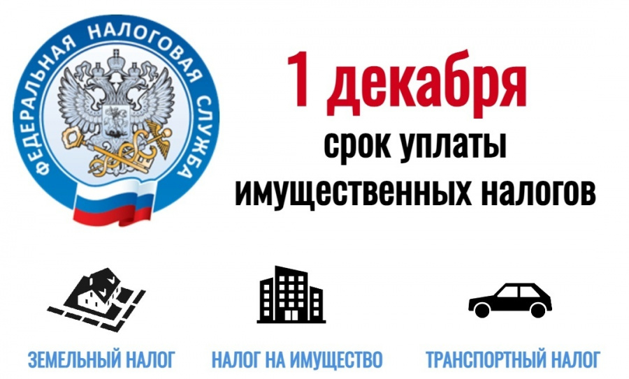 В этом году земельный, транспортный и имущественный налоги нужно уплатить до 1 декабря