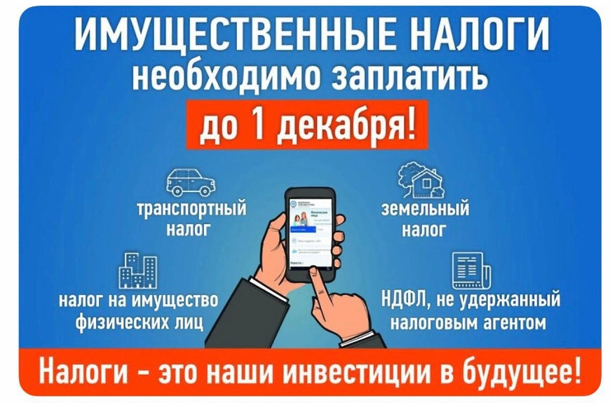 Заплати имущественные налоги до 1 декабря 2026 года