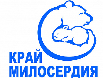 Реабилитация участников СВО