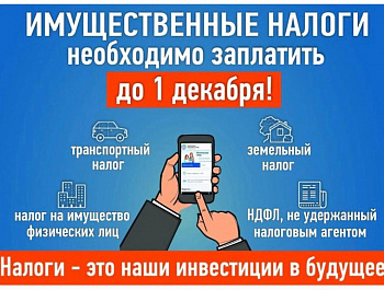 Заплати имущественные налоги до 1 декабря 2026 года